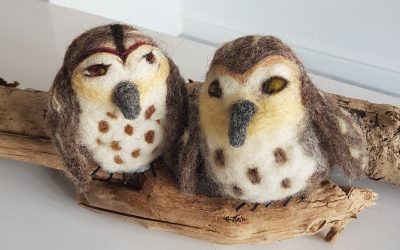 Awesome Owls, workshop in Stroud.