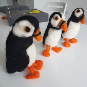 Puffins f