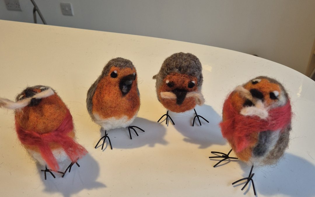 15th December Robin Workshop.