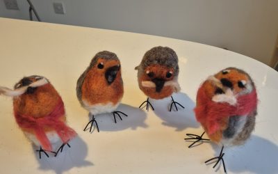 15th December Robin Workshop.